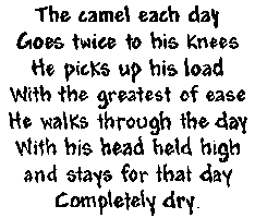 CAMEL WORDS